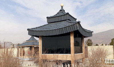 گالری تصاویر