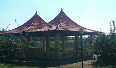 گالری تصاویر