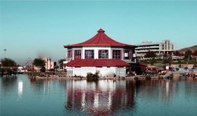 گالری تصاویر