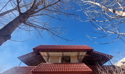 گالری تصاویر